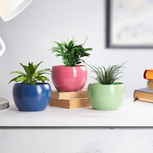 Amio Sunshine Elegant Matte Finished TableTop Pot Planter | 5 x 4 inches | Set Of 3