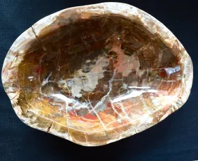 Multi Colored Petrified Wood Bowl