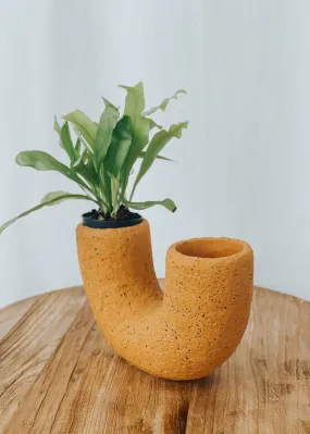 Saxon Cement Vase - Cantaloupe