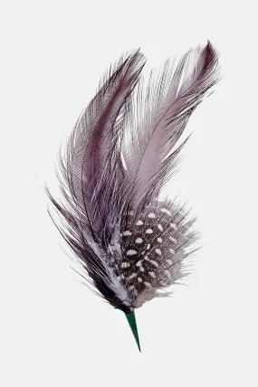 Thomas Hat Feather  - Multi