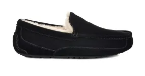 UGG Ascot Men